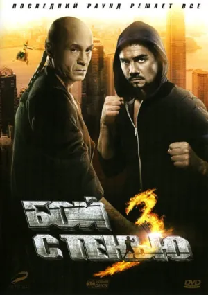 Бой с тенью 3D: Последний раунд (2011)
