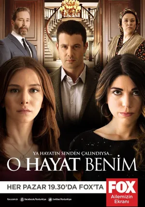 Это моя жизнь (сериал 2014)