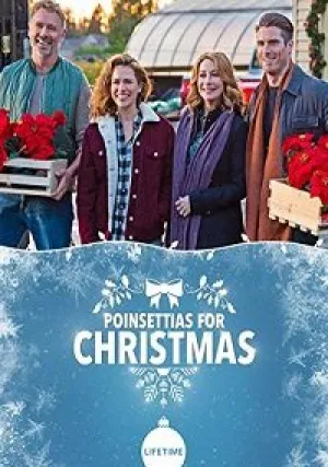 Пуансеттия – рождественская звезда (2018)