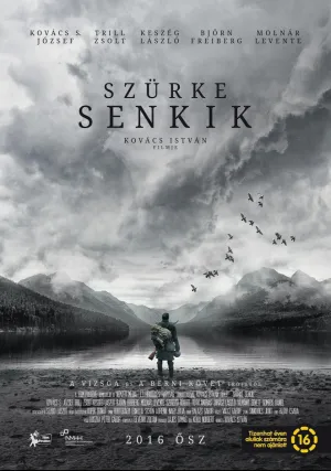 Серые посланцы (2016)