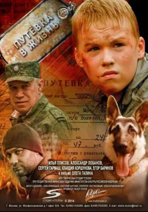 Путевка в жизнь (2013)