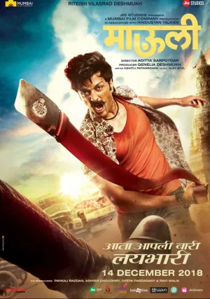 Инспектор Маули (2018)