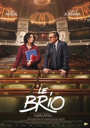 Блестяще (2017)