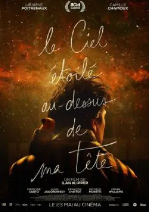 Звездное небо надо мной (2017)