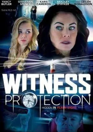 Программа защиты свидетелей (2017)