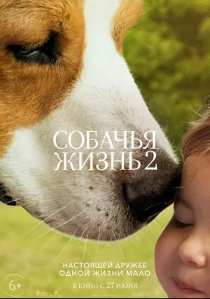 Собачья жизнь 2 (2019)