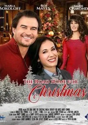 Дорога домой на Рождество (2019)
