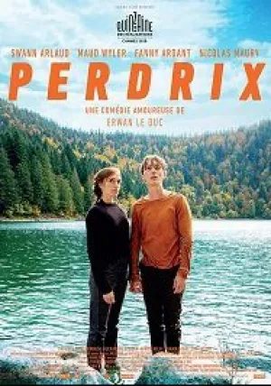 Пердрикс (2019)