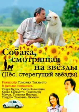 Пес, смотрящий на звезды (2011)