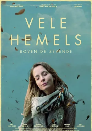 В бесконечных небесах (2017)