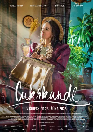 Доктор для сладкоежек (2025)